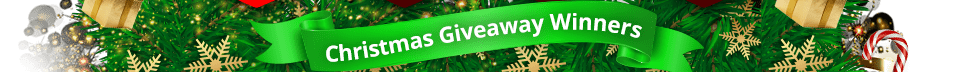Christmas Giveaway Winners
