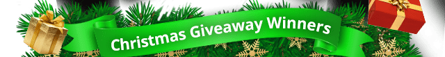 Christmas Giveaway Winners