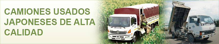 Japanese Used Truck