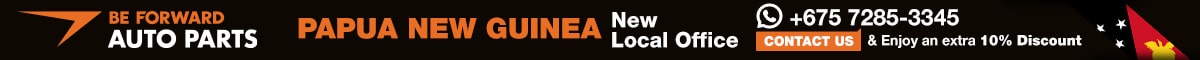 20250225_LocalAgentPapuaNewGuniea_Topbanner_parts header banner